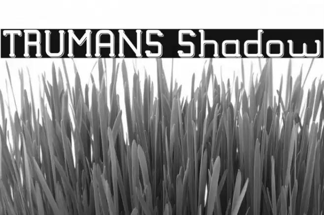 TRUMANS Shadow Font examples
