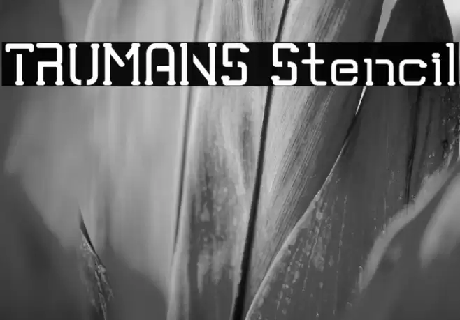 TRUMANS Stencil Font examples