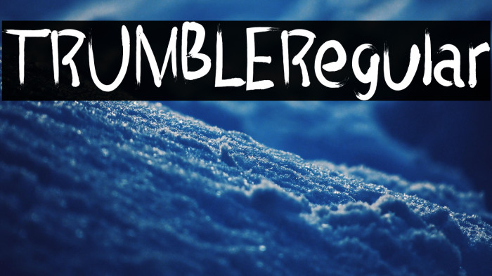 TRUMBLERegular Example 2