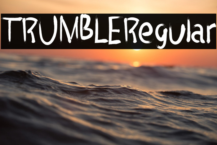 TRUMBLERegular Example 3