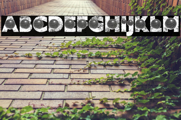 TRUST PERSONAL USE Bold Example 2