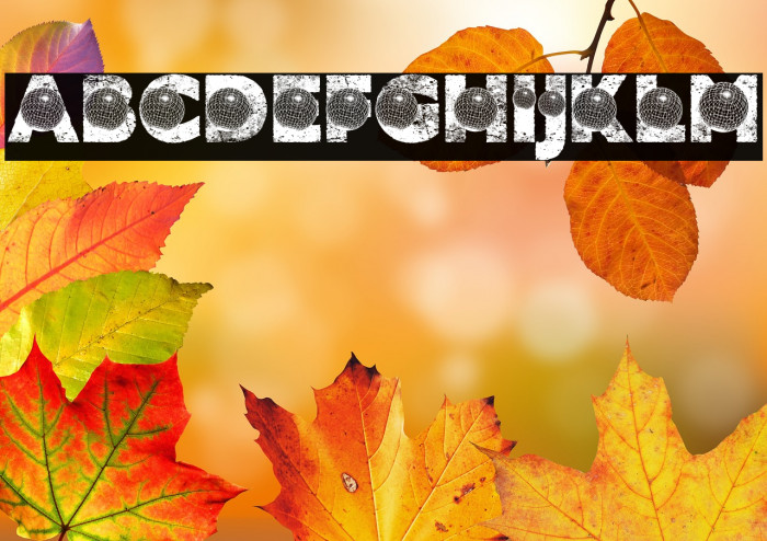 TRUST PERSONAL USE Bold Example 3