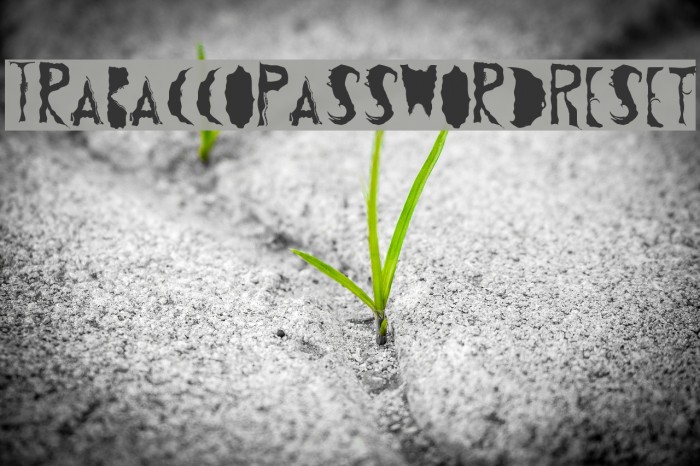 TrabaccoPasswordReset Font examples