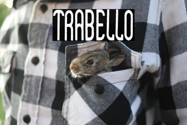 Trabello Example 2