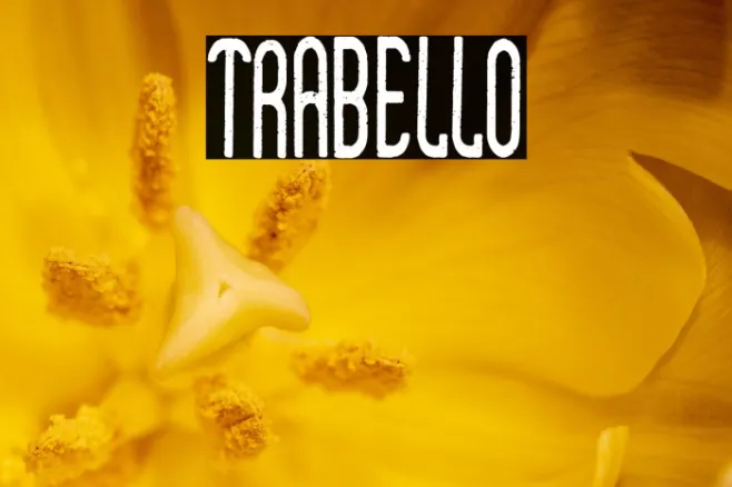 Trabello Example 3