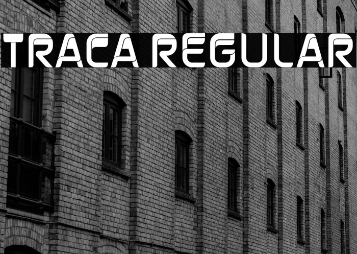 Traca Regular Example 1