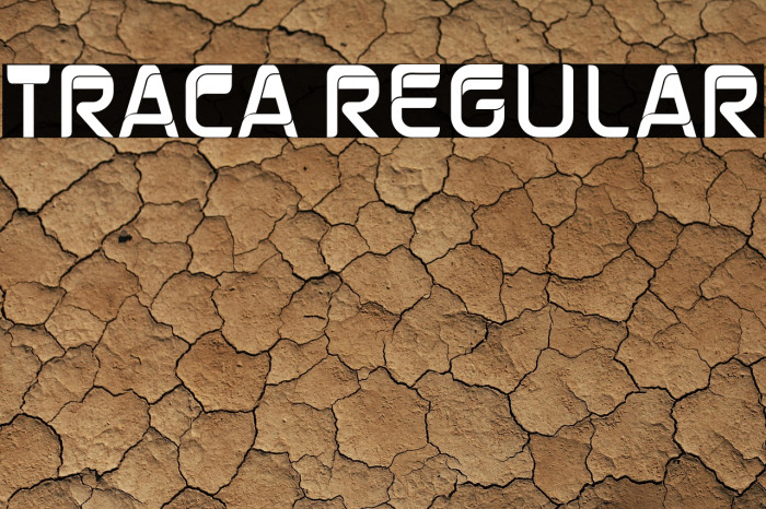 Traca Regular Example 3