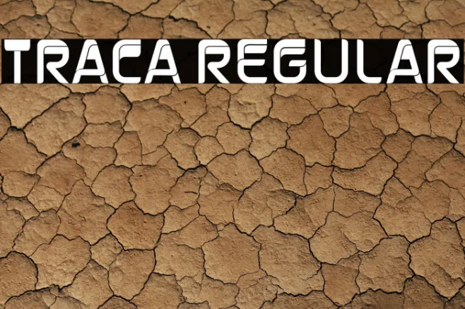 Traca Regular Example 3
