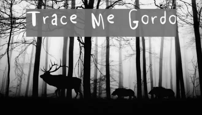 Trace Me Gordo Font examples