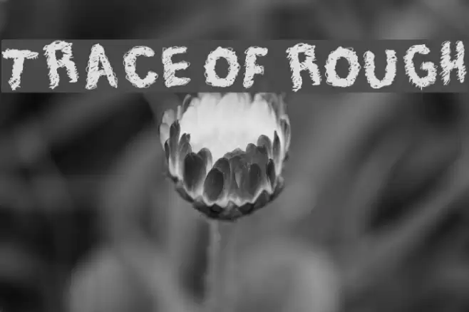 Trace of Rough Font examples