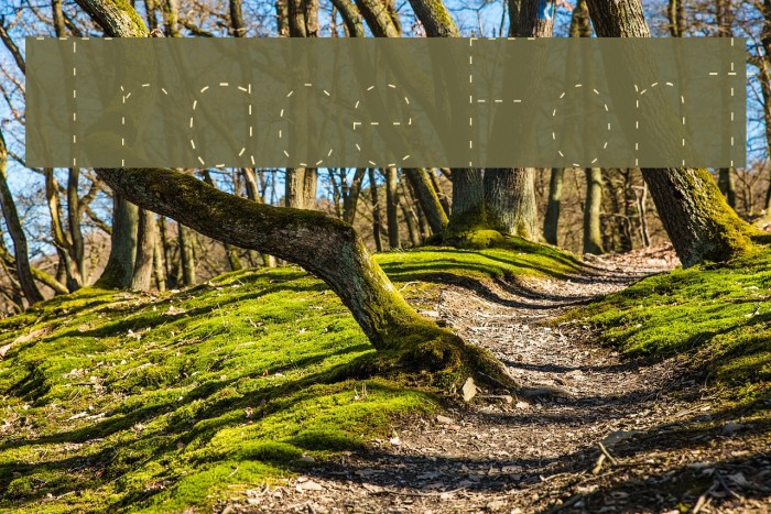 Trace Font examples