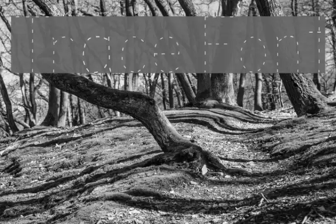 Trace Fonte examples