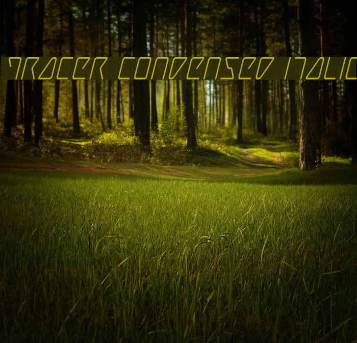 Tracer Condensed Italic Font examples