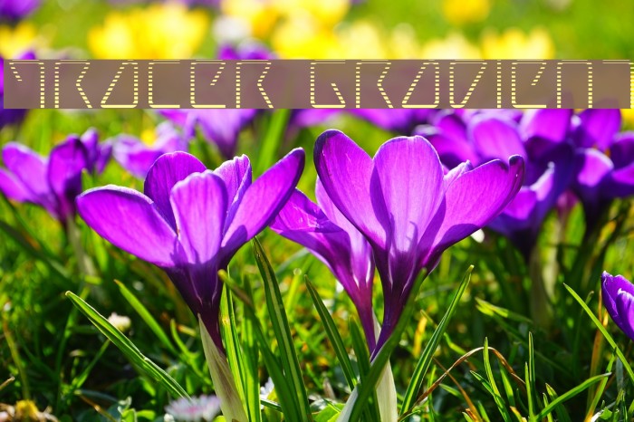 Tracer Gradient Example 2