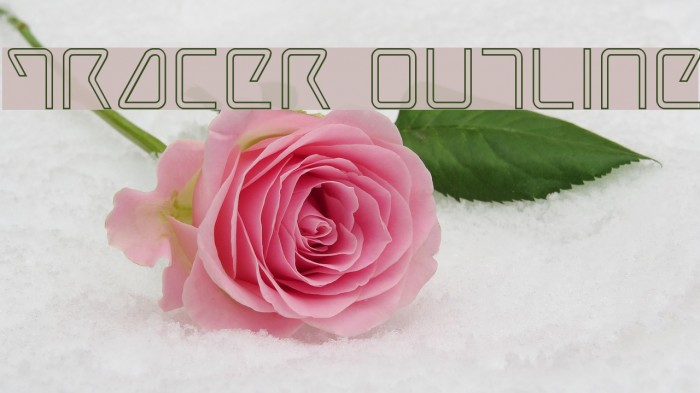 Tracer Outline Example 1