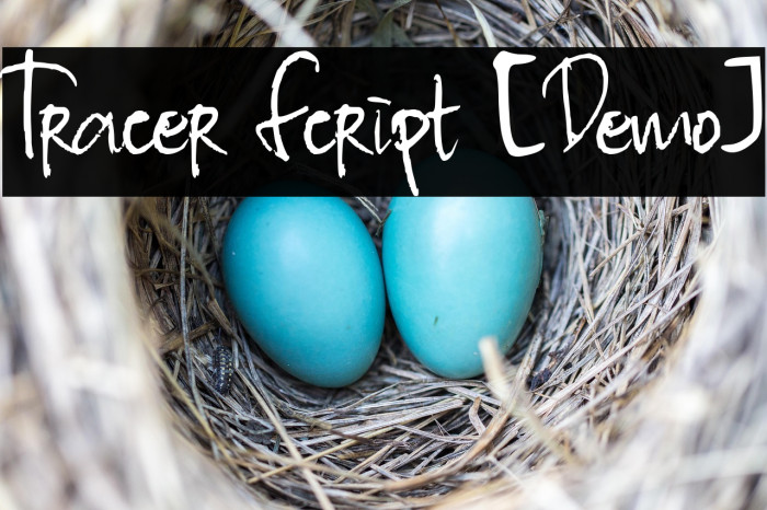 Tracer Script [Demo] Example 1