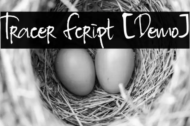Tracer Script [Demo] Font examples