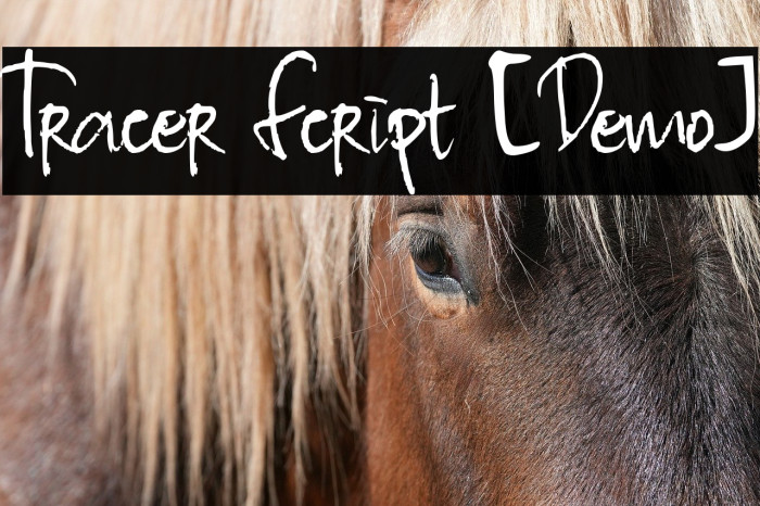 Tracer Script [Demo] Example 2