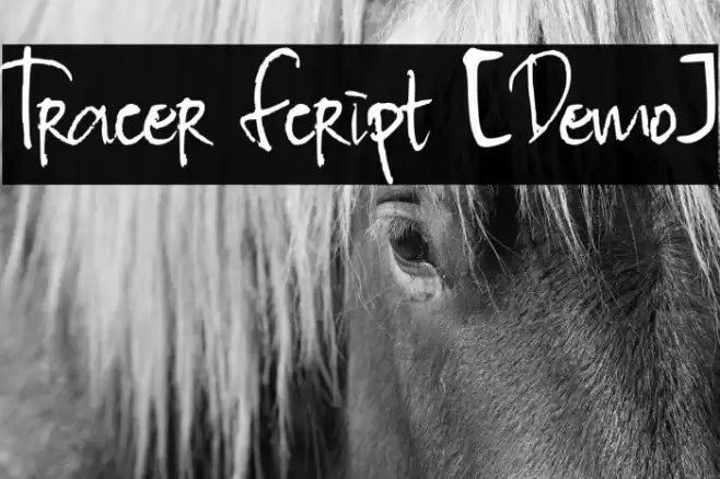 Tracer Script [Demo] Font examples
