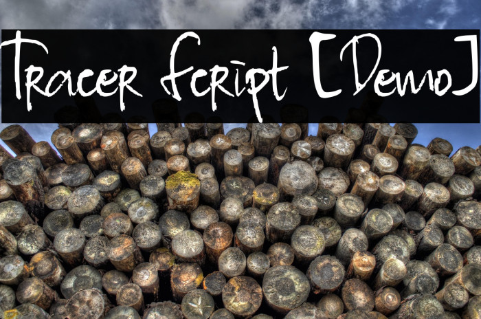 Tracer Script [Demo] Example 3