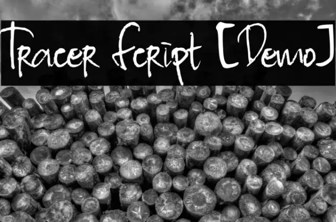 Tracer Script [Demo] Font examples