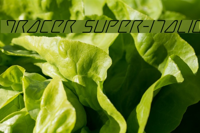 Tracer Super-Italic Example 1