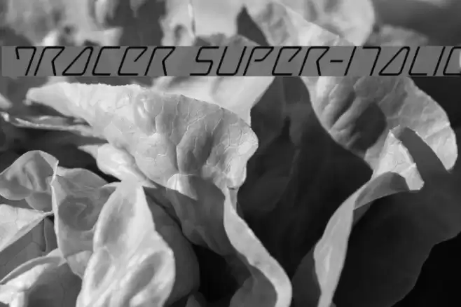 Tracer Super-Italic Font examples