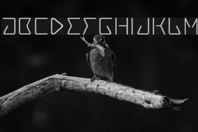 Tracer Font examples