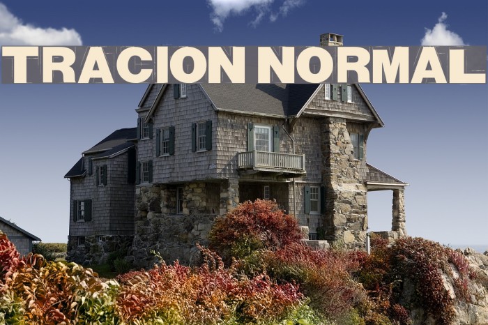 Tracion Normal Font examples