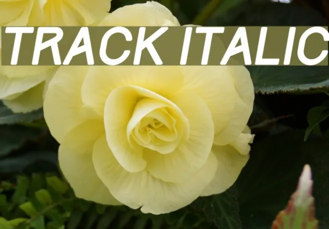 Track Italic Example 1