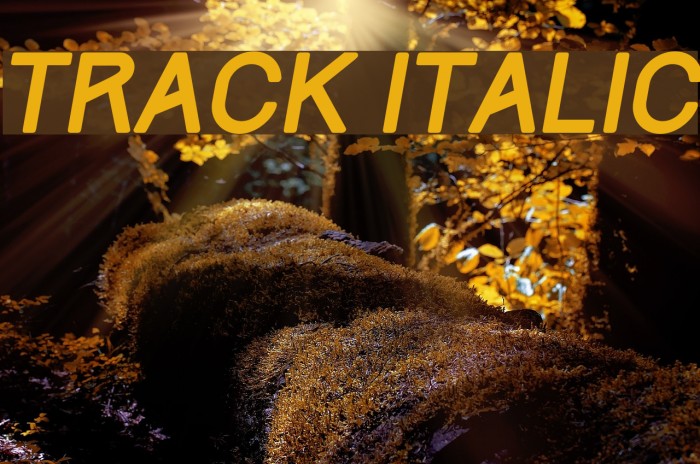 Track Italic Font examples