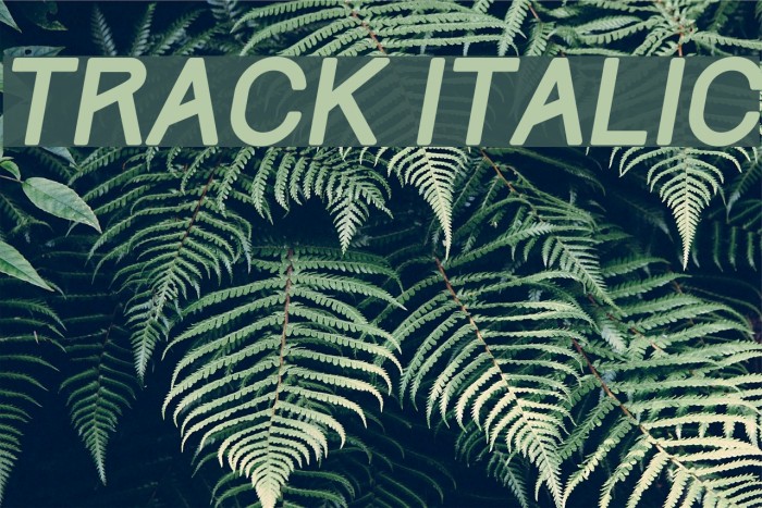 Track Italic Font examples