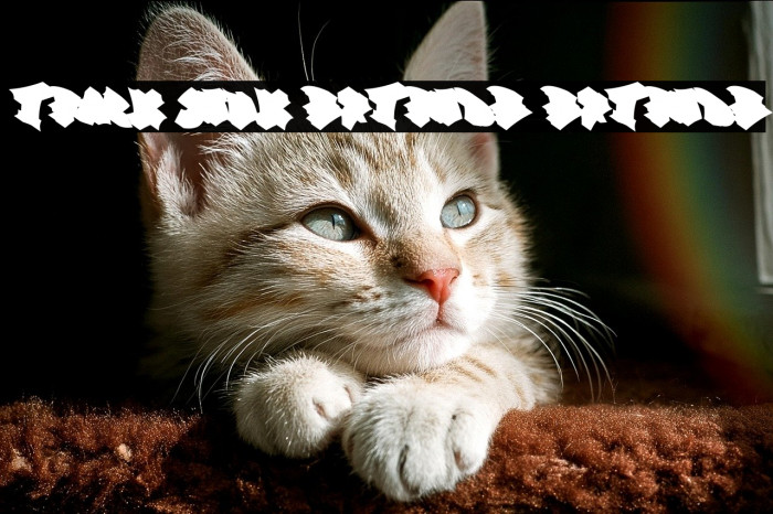 Track Junk Extrude Extrude Example 2