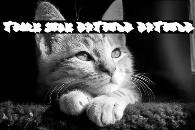 Track Junk Extrude Extrude Schriftart examples