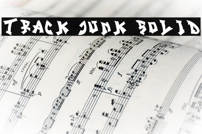 Track Junk Solid Example 1