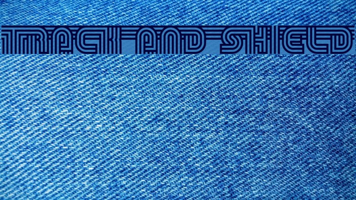 Track and Shield Example 1