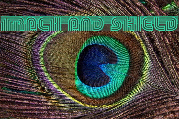 Track and Shield Example 3