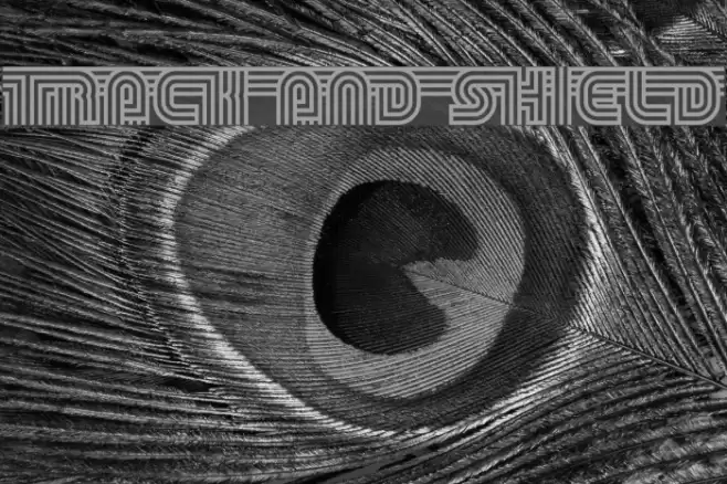Track and Shield Font examples
