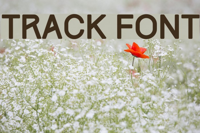 Track Font examples