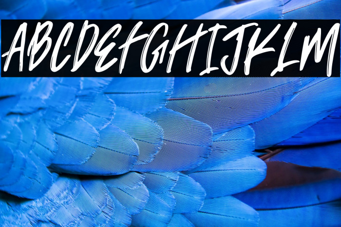 Trackers demo Example 1