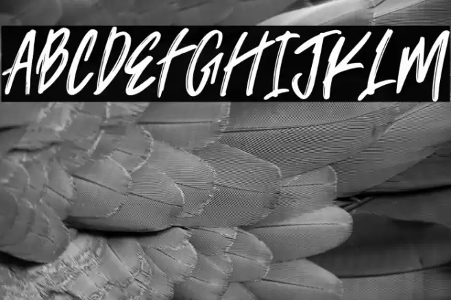 Trackers demo Font examples