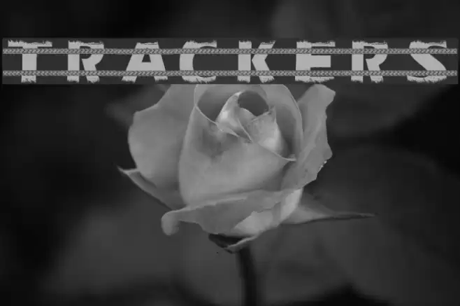 Trackers Font examples