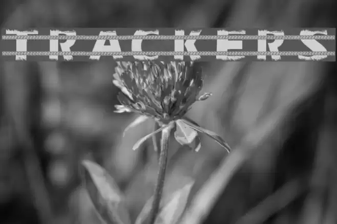 Trackers Font examples