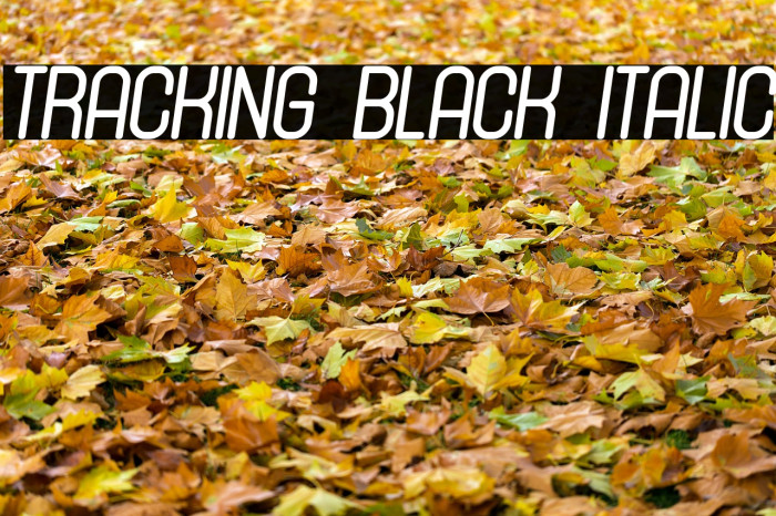 Tracking Black Italic Example 1
