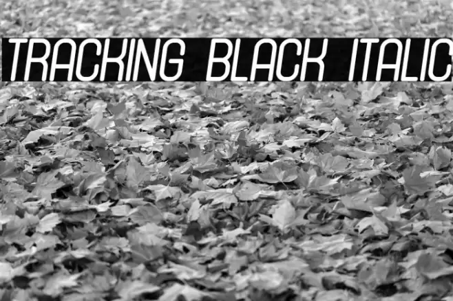 Tracking Black Italic Font examples