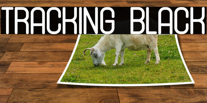 Tracking Black Example 1