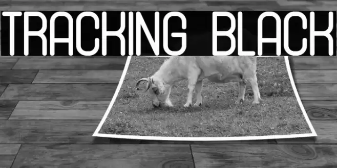Tracking Black Font examples