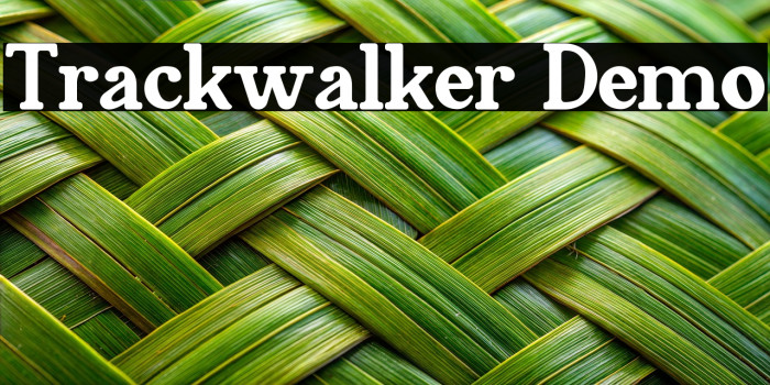 Trackwalker Demo Example 3
