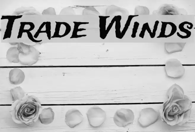 Trade Winds Font examples