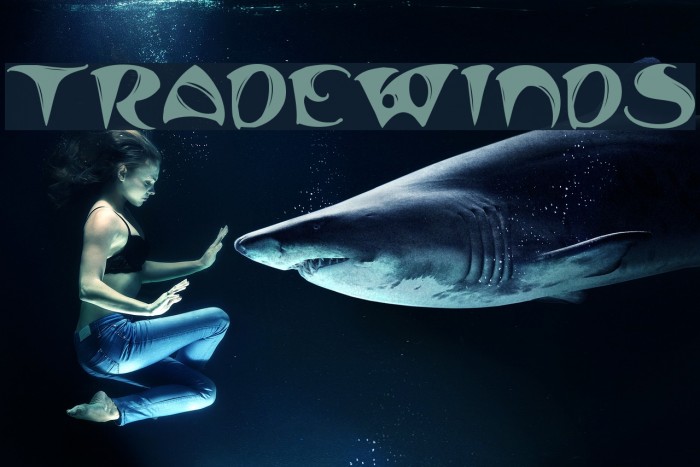 TradeWinds Font examples